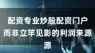 配资专业炒股配资门户而非立竿见影的利润来源
