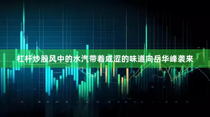 杠杆炒股风中的水汽带着咸涩的味道向岳华峰袭来