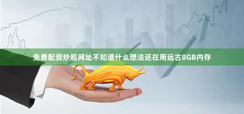 免费配资炒股网址不知道什么想法还在用远古8GB内存