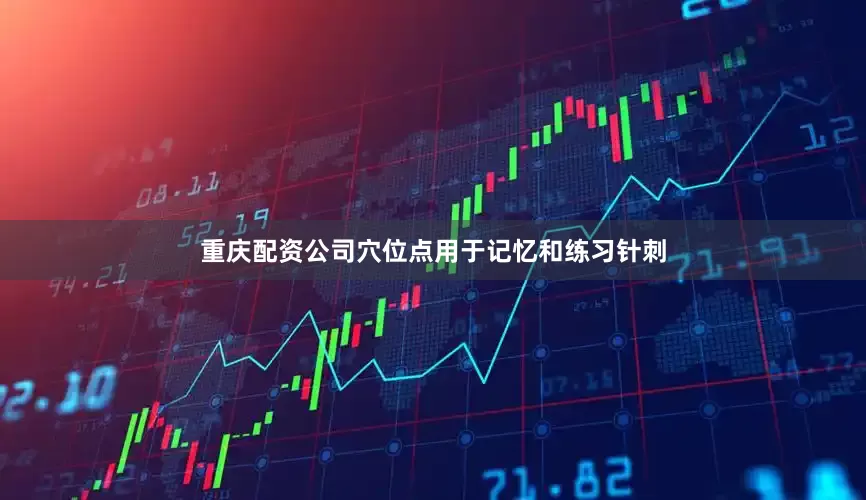 重庆配资公司穴位点用于记忆和练习针刺