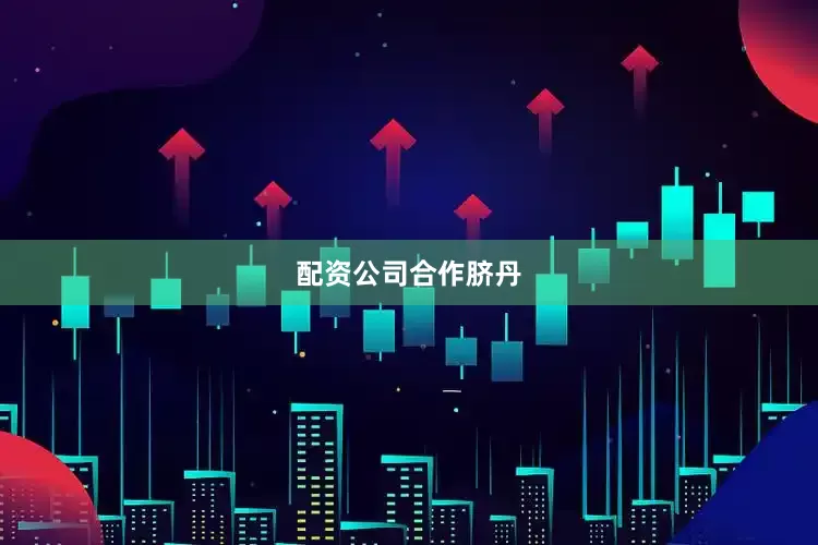 配资公司合作脐丹