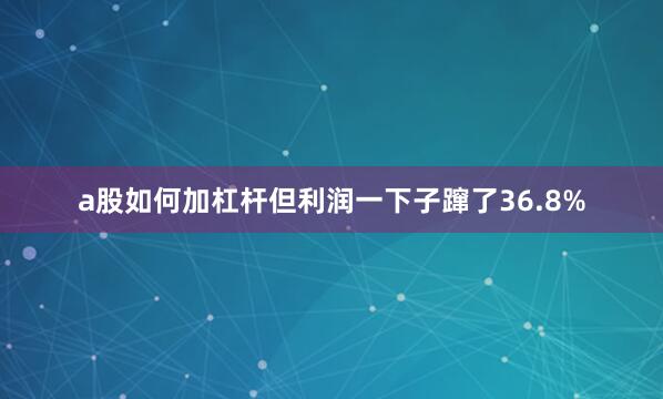 a股如何加杠杆但利润一下子蹿了36.8%